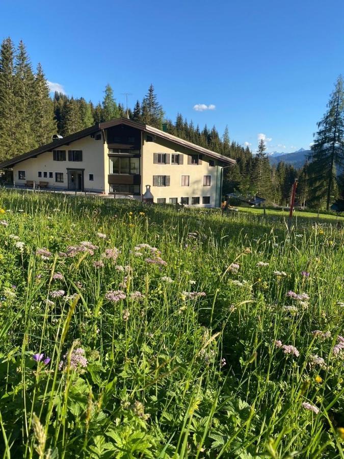 Appartementhaus Hochkoenig - Panoramablick Muhlbach Am Hochkonig Ngoại thất bức ảnh