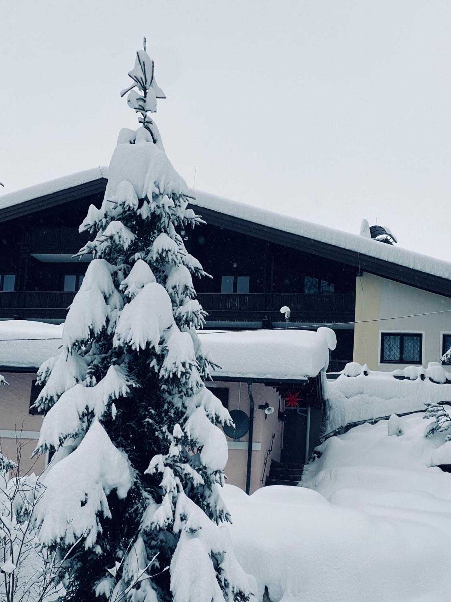 Appartementhaus Hochkoenig - Panoramablick Muhlbach Am Hochkonig Ngoại thất bức ảnh